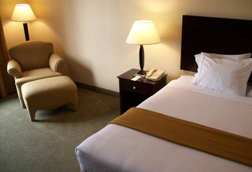Люкс, Holiday Inn Express Hotel & Suites Athens By Ihg