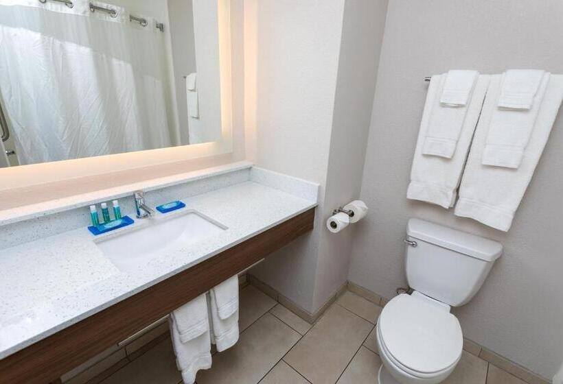 Номер Стандарт, Holiday Inn Express Hotel & Suites Athens By Ihg