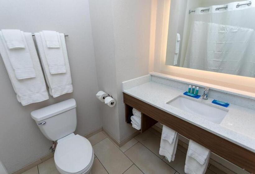 Люкс, Holiday Inn Express Hotel & Suites Athens By Ihg