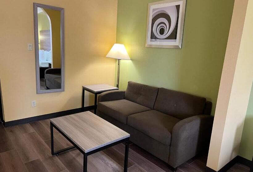 장애인을 위한 킹사이즈 침대 스탠다드 룸, Quality Inn Bay City Tx