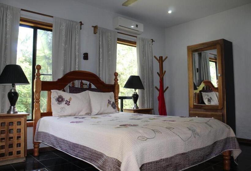 اتاق لوکس, Calico Jack's Resort