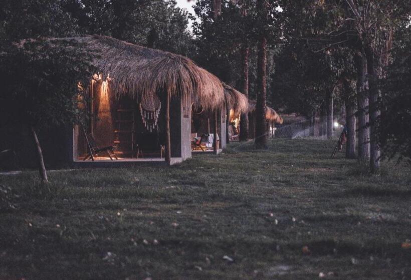 Бунгало Стандарт Вид на Море, Riva Del Sol Beach Resort