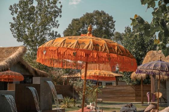 Четырехместный Номер Стандарт Вид на Сад, Riva Del Sol Beach Resort