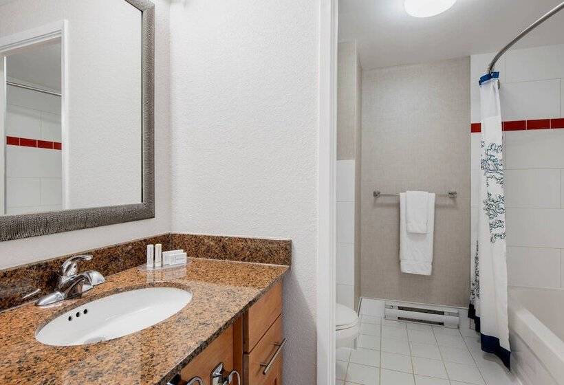 2 Bedroom Suite City View, Residence Inn By Marriott Kingston Water's Edge
