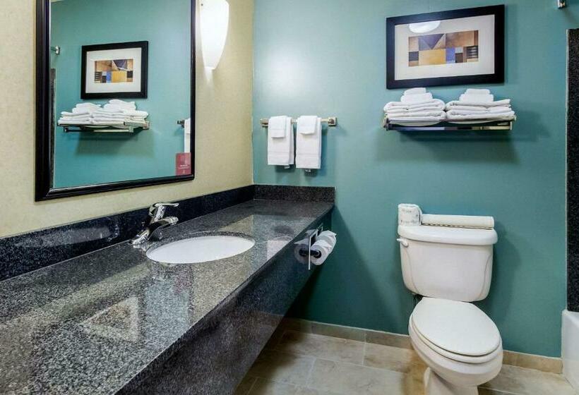 Стандартный Номер Кровать Кинг, Sleep Inn & Suites