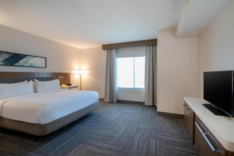 Полулюкс Кровать Кинг, Hilton Garden Inn Pittsburgh/southpointe