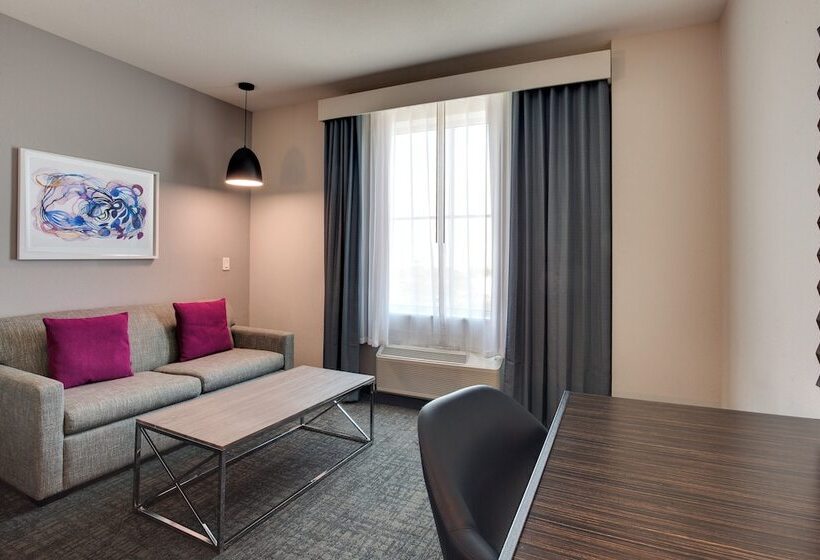 スタンダードルーム, Crowne Plaza Hotel & Resorts Fort Lauderdale Airport/ Cruise, An Ihg