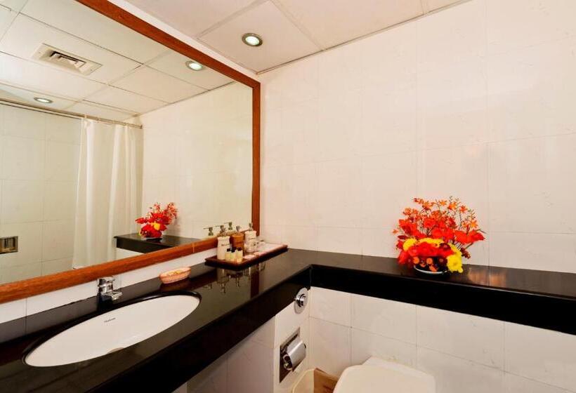 Номер Deluxe Вид на Горы, Solang Valley Resort