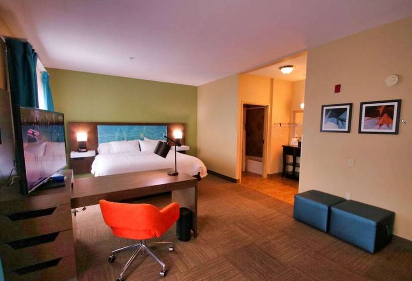 Студия Стандарт Двуспальная Кровать, Hampton Inn & Suites Jacksonville   Beach Blvd/mayo Clinic