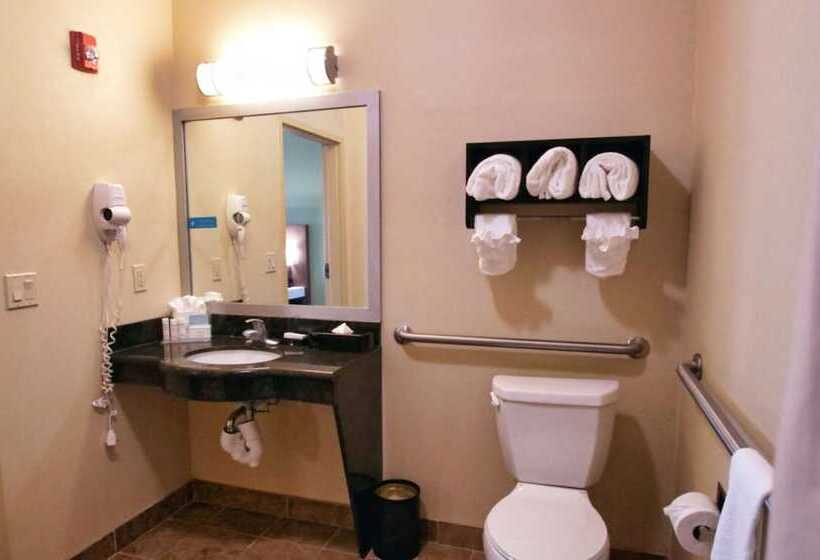 Студия Стандарт Двуспальная Кровать, Hampton Inn & Suites Jacksonville   Beach Blvd/mayo Clinic