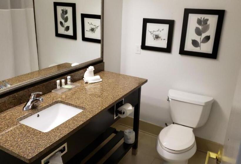 标准工作室, Country Inn & Suites By Radisson, Bradenton Lakewood Ranch, Fl