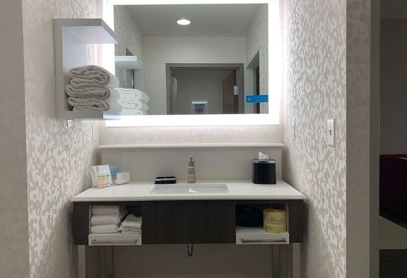 스위트, Hampton Inn Fort Stockton