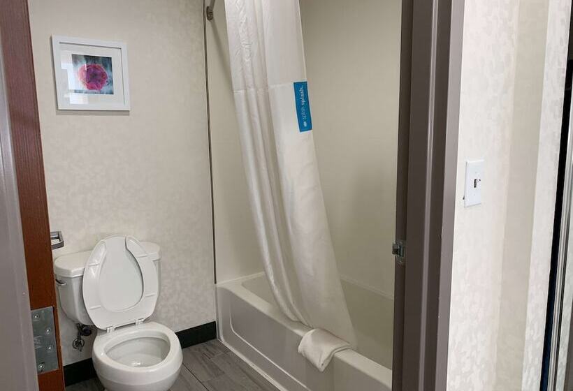 Люкс, Hampton Inn Fort Stockton