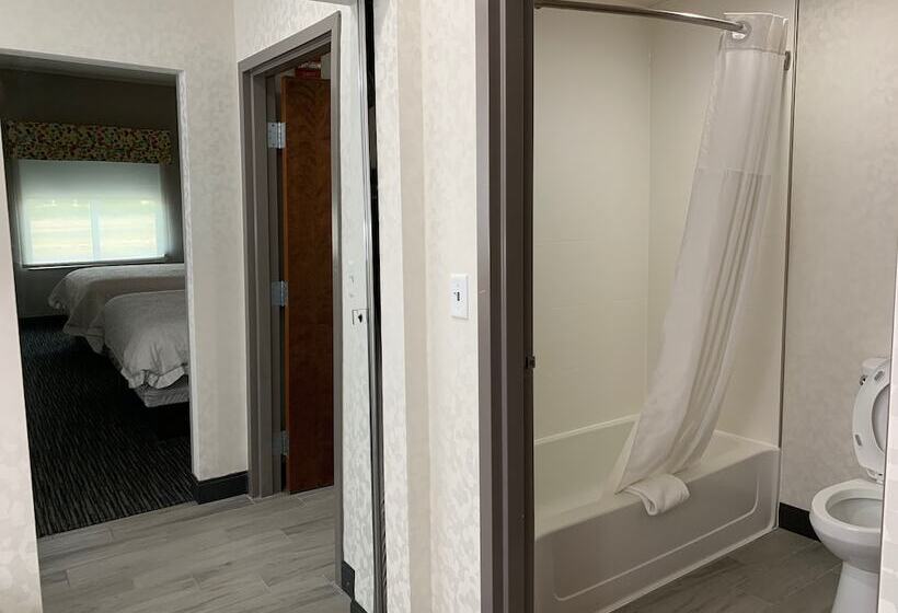 스위트, Hampton Inn Fort Stockton