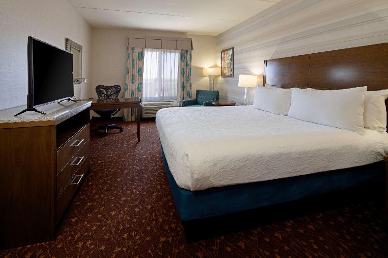 스탠다드 룸 킹사이즈 침대, Hilton Garden Inn Albuquerque Airport