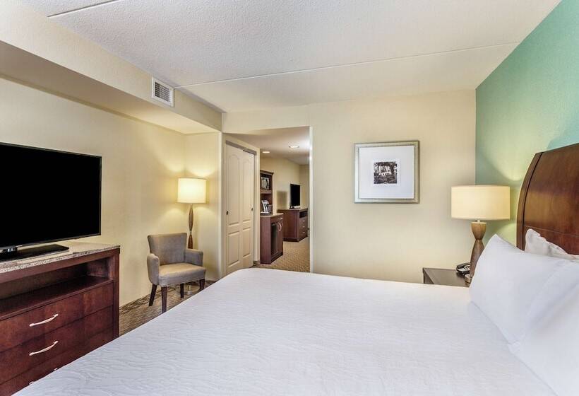 جناح ديلوكس, Hilton Garden Inn Gainesville