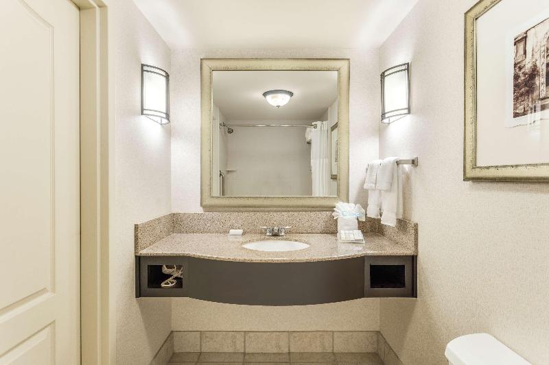 스탠다드 룸 킹사이즈 침대, Hilton Garden Inn Gainesville