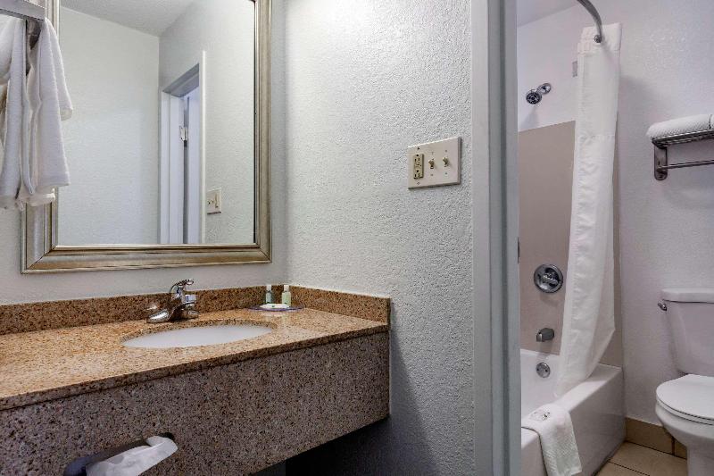 스탠다드 룸 킹사이즈 침대, Hilton Garden Inn Gainesville