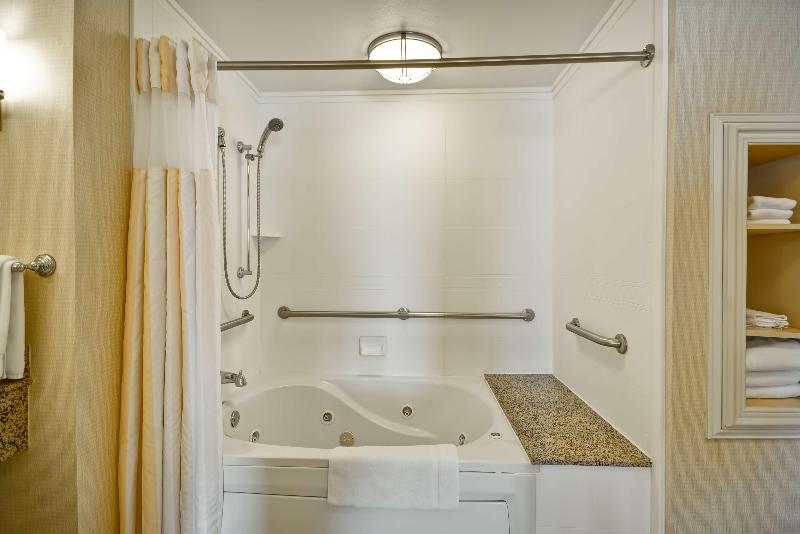 스탠다드 룸 킹사이즈 침대, Hilton Garden Inn Tampa/riverview/brandon