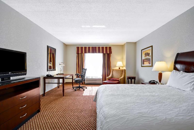 스탠다드 룸 킹사이즈 침대, Hilton Garden Inn Tampa/riverview/brandon