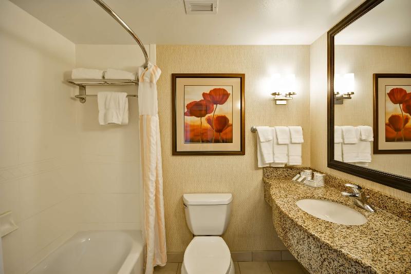 주니어 스위트 킹사이즈 침대, Hilton Garden Inn Tampa/riverview/brandon
