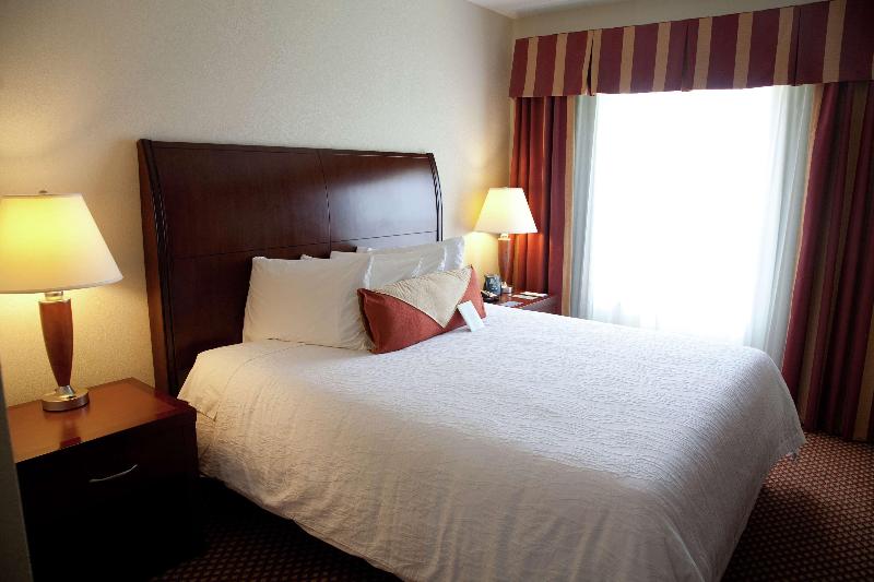 주니어 스위트 킹사이즈 침대, Hilton Garden Inn Tampa/riverview/brandon