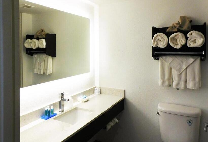 带大床的标准间, Holiday Inn Express   Coventry S   West Warwick Area, An Ihg