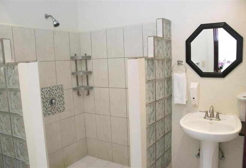 سوییت با چشم‌انداز استخر, Las Brisas Resort And Villas