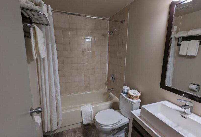キングサイズベッドのデラックスルーム, King Edward Hotel