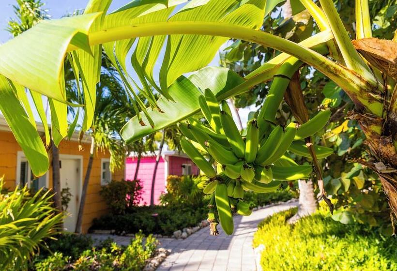 3침실 스위트, La Siesta Resort & Villas