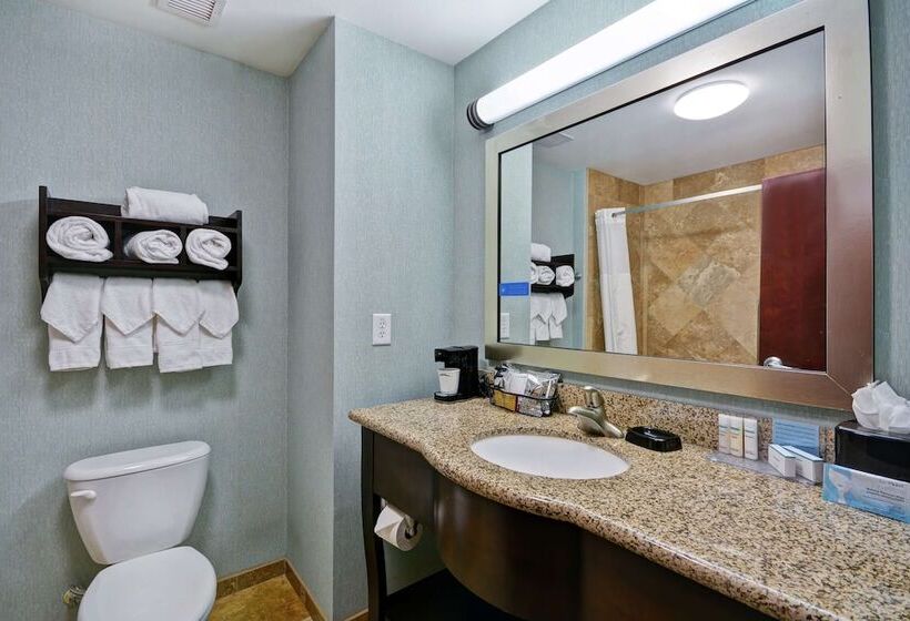 스탠다드 룸, Hampton Inn & Suites San Antonio/northeast I35