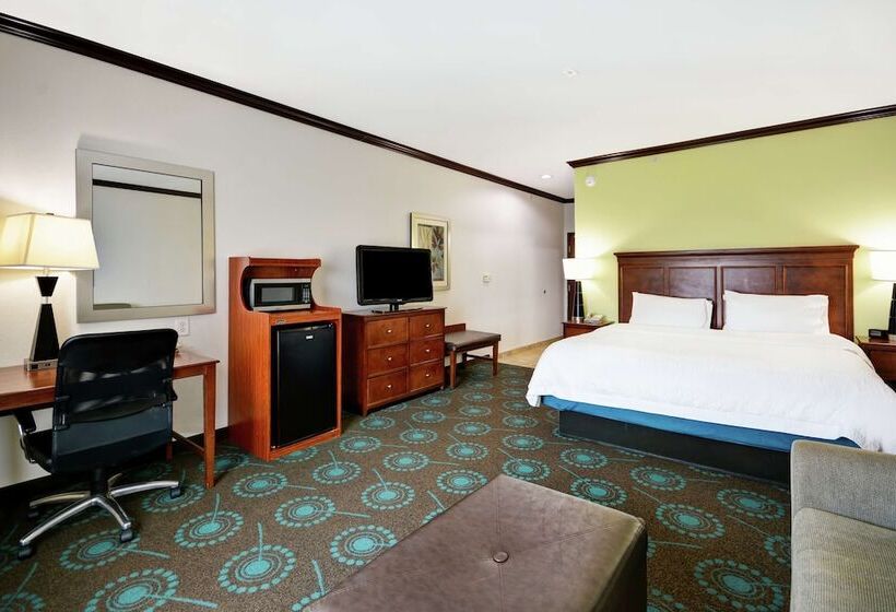 스탠다드 룸, Hampton Inn & Suites San Antonio/northeast I35