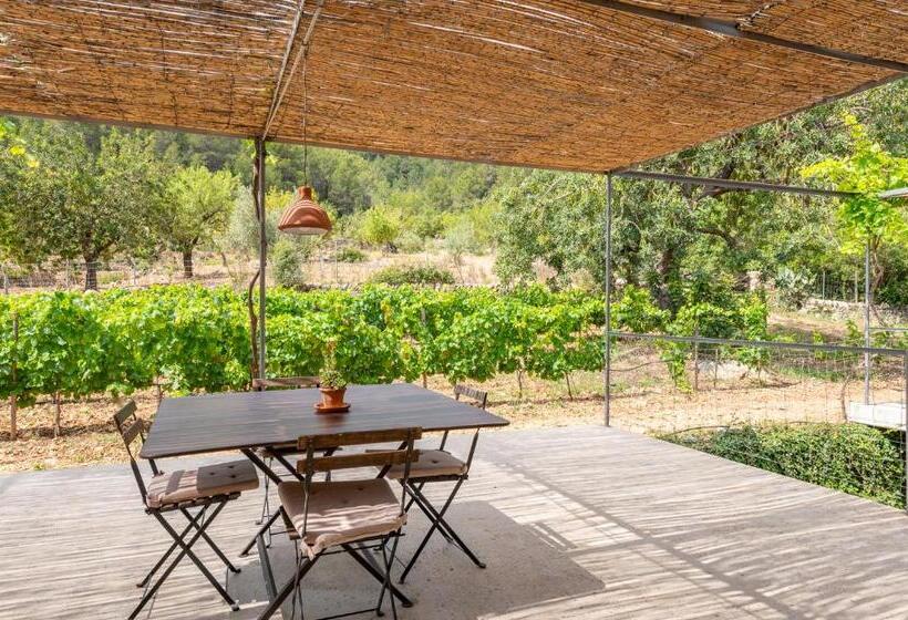 Апартаменты Пентхаус 2 Спальни, Agroturismo Filicumis By Mhr