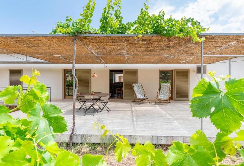 Апартаменты Пентхаус 2 Спальни, Agroturismo Filicumis By Mhr