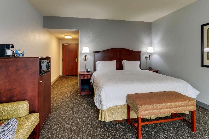 Standard Szoba King Size Bed, Hampton Inn & Suites Indianapolis Airport