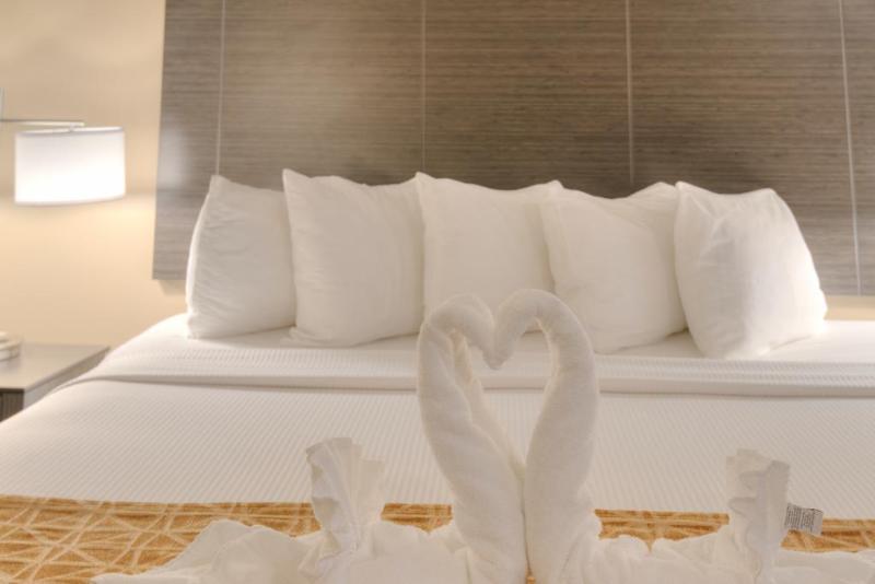 Номер Economy, Toyo Hotel