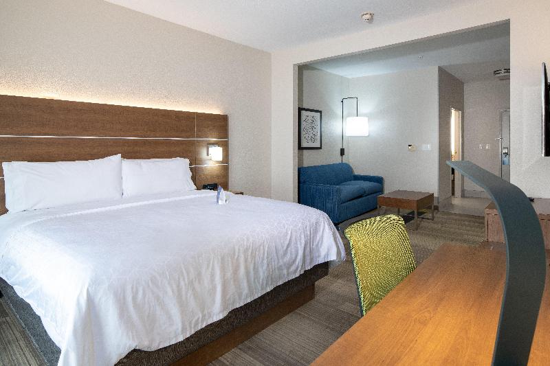 Люкс Кровать Кинг, Holiday Inn Express Hotel & Suites Dallas South   Desoto, An Ihg
