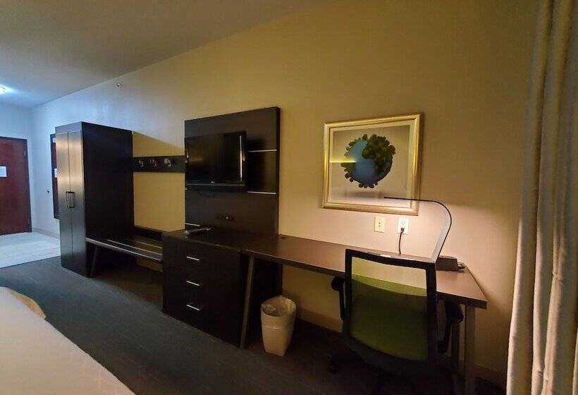 스탠다드 룸, Holiday Inn Express Pearland, An Ihg