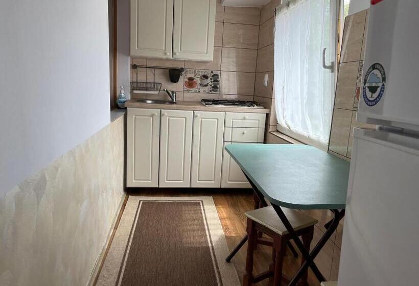 침실 1개 아파트, Casa De Oaspeti Anciupi Vendeghaz