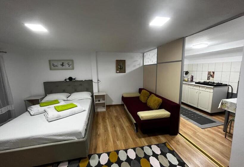 침실 1개 아파트, Casa De Oaspeti Anciupi Vendeghaz