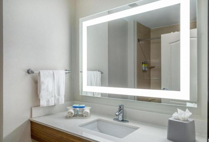 Стандартный Номер Кровать Кинг, Holiday Inn Express & Suites Dallas East   Fair Park, An Ihg