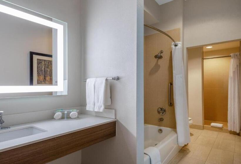Люкс 2 Спальни, Holiday Inn Express & Suites Dallas East   Fair Park, An Ihg