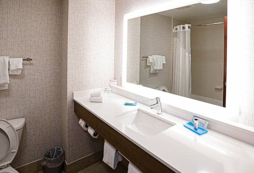 Pokój Standard, Holiday Inn Express & Suites Knoxville Farragut, An Ihg
