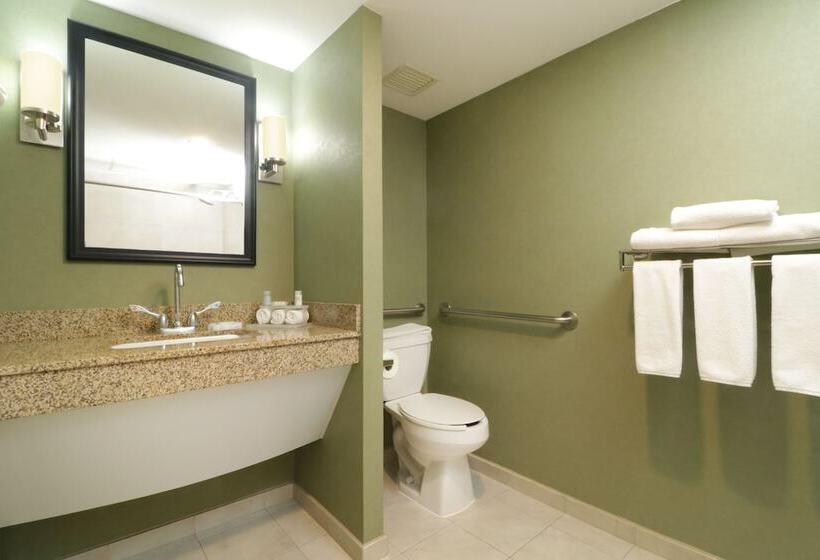 スイート, Holiday Inn Express & Suites Monterrey Aeropuerto, An Ihg