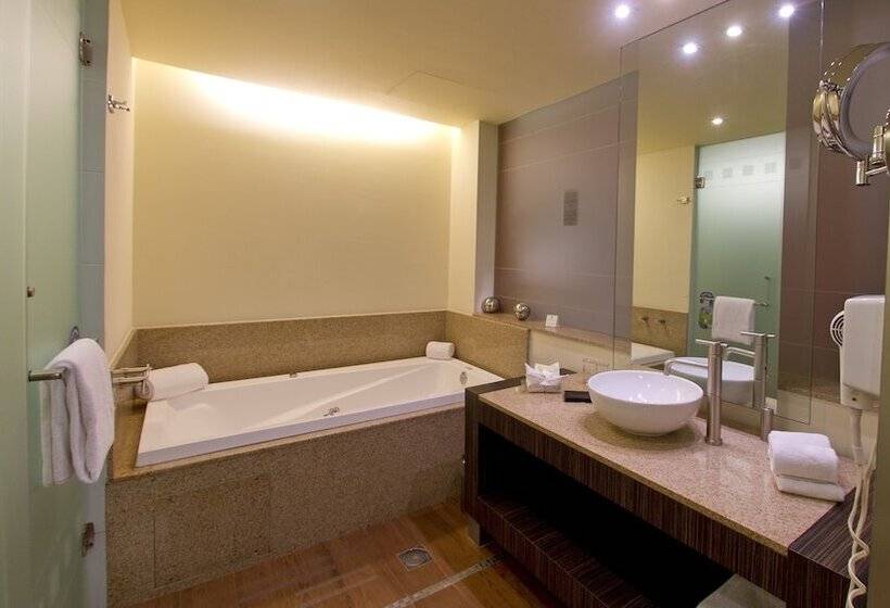 スイート, Holiday Inn Mexico City Plaza Universidad, An Ihg