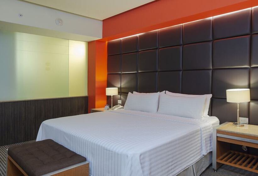 スイート, Holiday Inn Mexico City Plaza Universidad, An Ihg