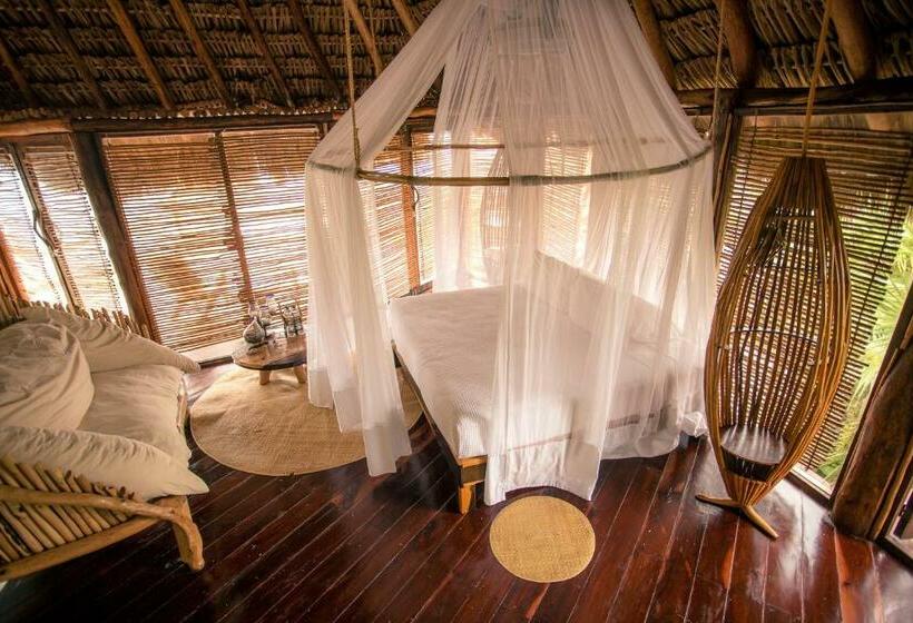 Quarto Estandar, Azulik