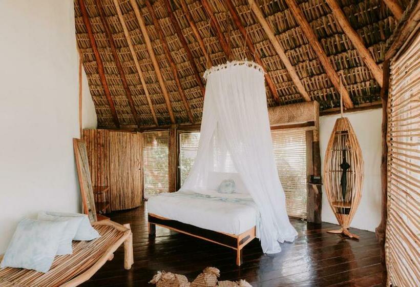 Quarto Estandar, Azulik