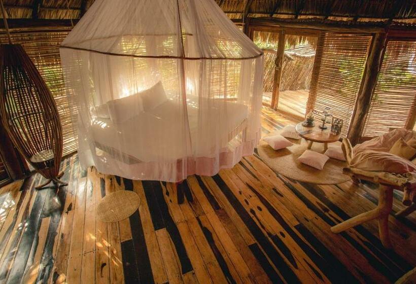 Quarto Estandar, Azulik