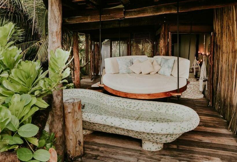 Quarto Estandar, Azulik